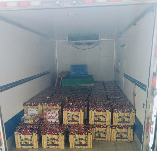 進(jìn)口水果車?yán)遄舆\(yùn)輸.jpg